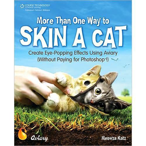 Cengage Course Tech. Book: More Than One Way to Skin a Cat: Create Eye-Popping Effects Using Aviary by Meowza Katz