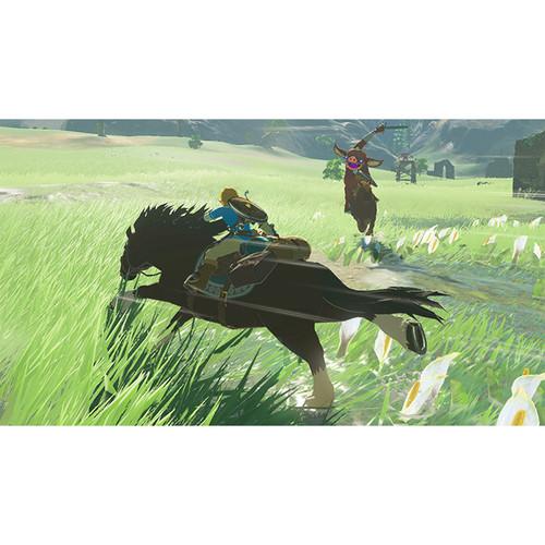 download breath of the wild starter guide for free